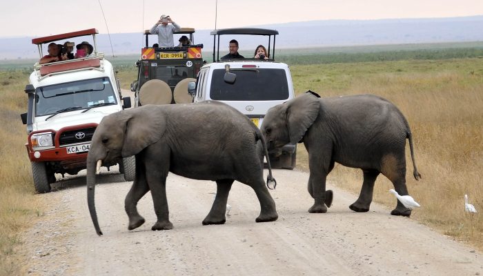 Activities-to-do-in-Amboseli-National-Park (2) (1)