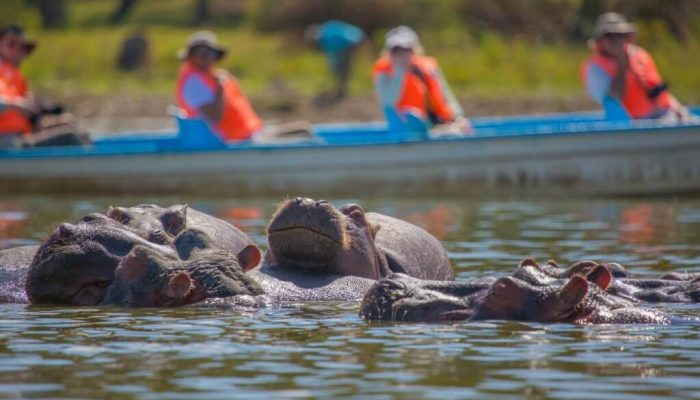 Hippopotamus-Lake-Naivasha-1024x683 (1) (1)